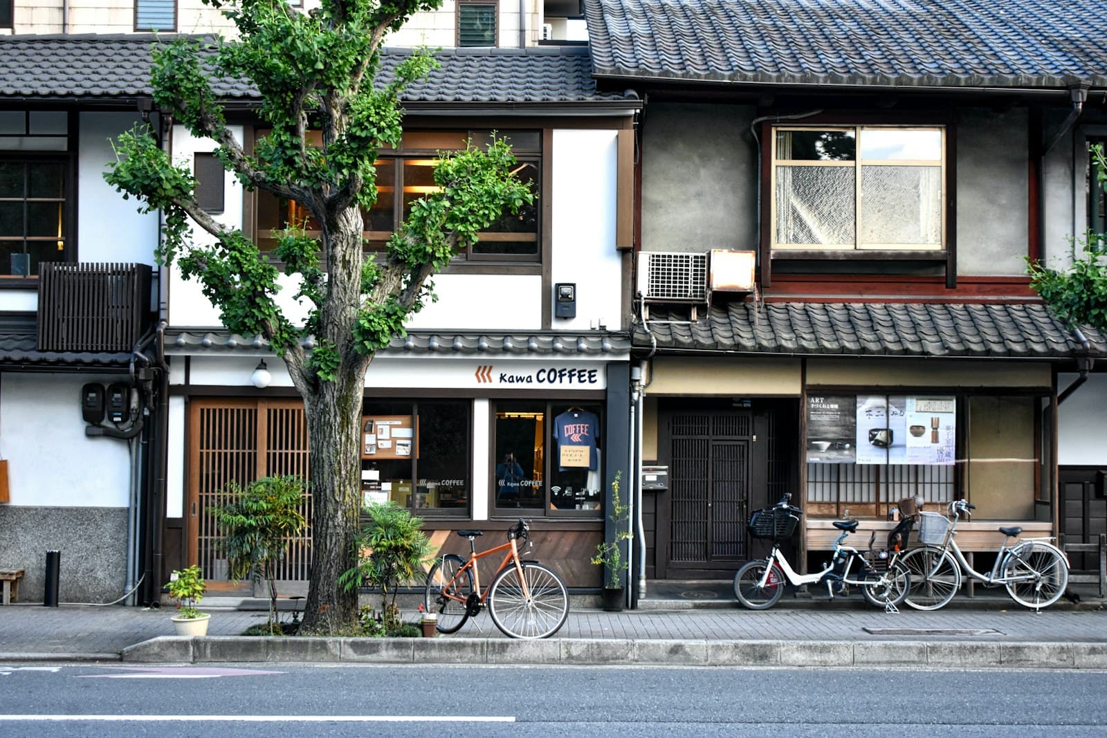 A café on a Japanese street with a ginkgo tree, tiled roofs and bicycles